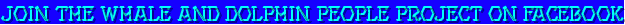 Banners/TNDfacebookbluePROJECTcooltext462872673_151.gif